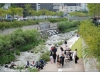 Korea - Day 9 - Cheong Gye Cheon - 3